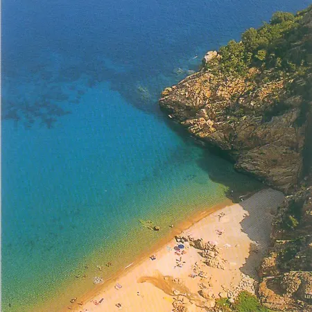 D'hotes La Potiniere 4*